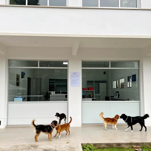 Clínica Veterinária e Pet Shop em Vitória