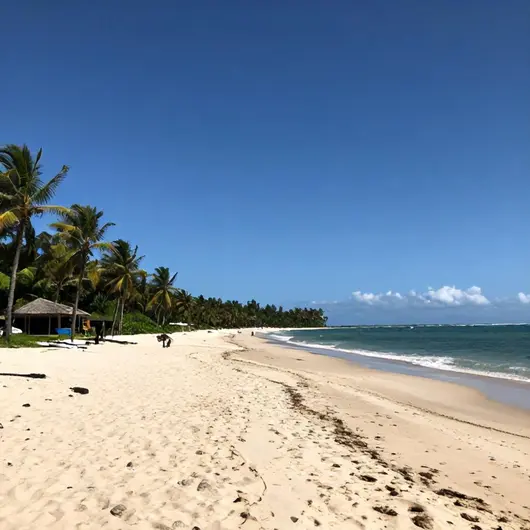 Descubra a Ilha do Caranguejo