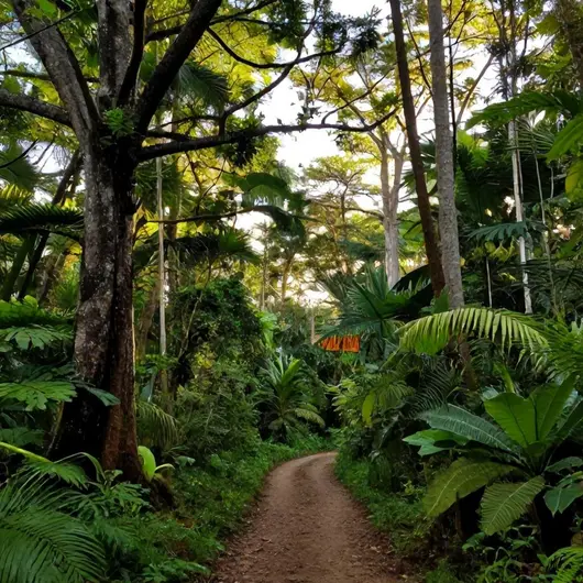 Visitação às unidades de conservação Visitação às unidades de conservação