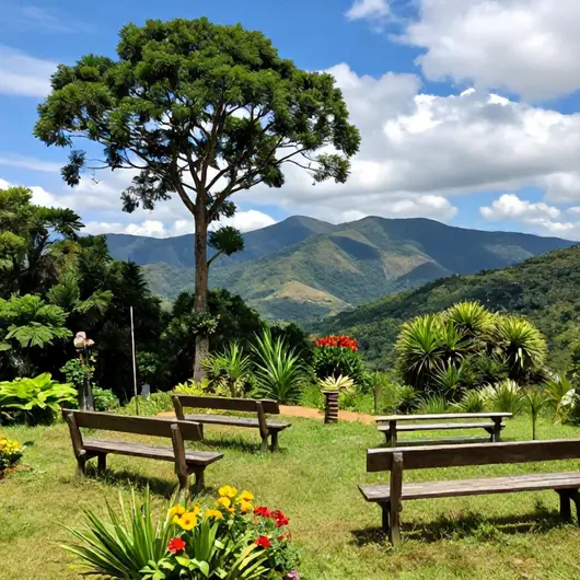 Vista do Ipê